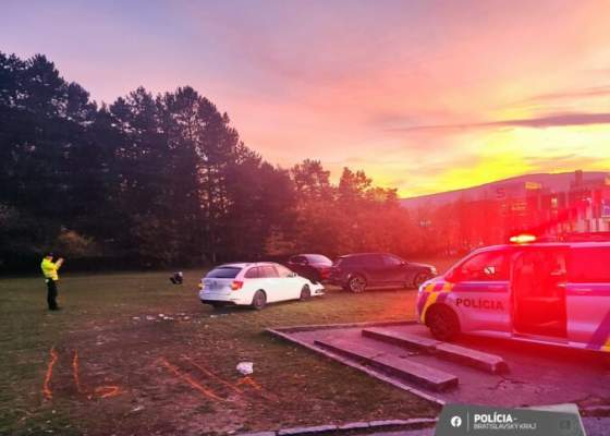 vodic audi pri krematoriu zrazil chodkynu skoncila v nemocnici foto