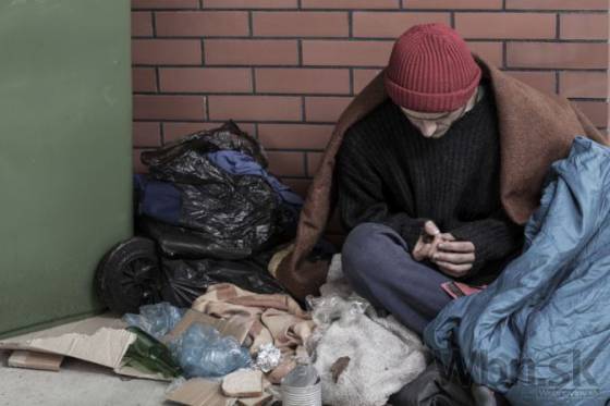 vianocnu veceru pre ludi bez domova si v bratislave pripravilo obcianske zdruzenie vagus
