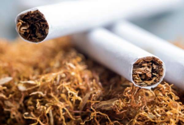 na vyssie dane z tabakovych vyrobkov doplatia socialne najslabsi obcania tabakova firma pomenovala klucovy problem a ziada o napravu