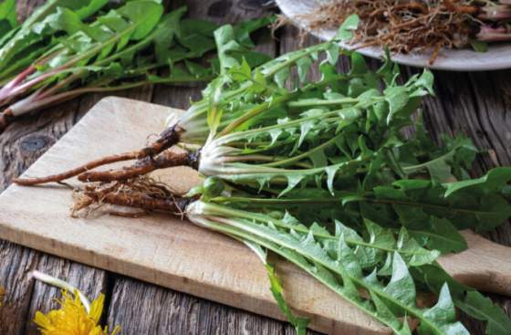 tato obycajna burina moze zachranit vasu pecen aj travenie