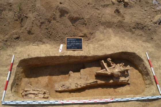 vykradac archeologickeho dedicstva vlastnil raritnu mincu zo severneho talianska poputuje do muzea