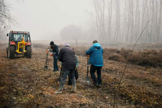 kym ludia doma zdobia vianocne stromceky v cicove sadia povodne dreviny zentiva podporila obnovu luznych lesov