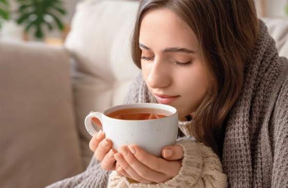 liecive rastliny v kazdodennom zivote tradicia ktora pretrvala