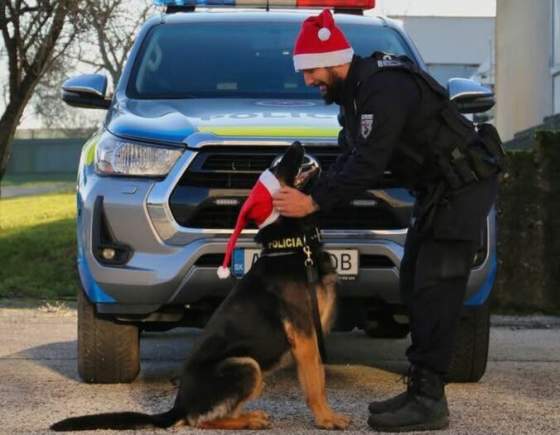 policajti boli pocas vianoc vo vysokom nasadeni preverili viac ako 5 500 udalosti riesili aj bitky ci domace nasilie