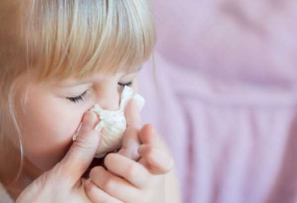 chripkova sezona v europe sa tento rok zacala skor ako obvykle hybnou silou rastuceho trendu je subtyp h3n2